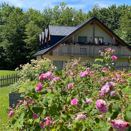 Loft Naturalpina Dolomiti Farm เบลลูโน ภายนอก รูปภาพ