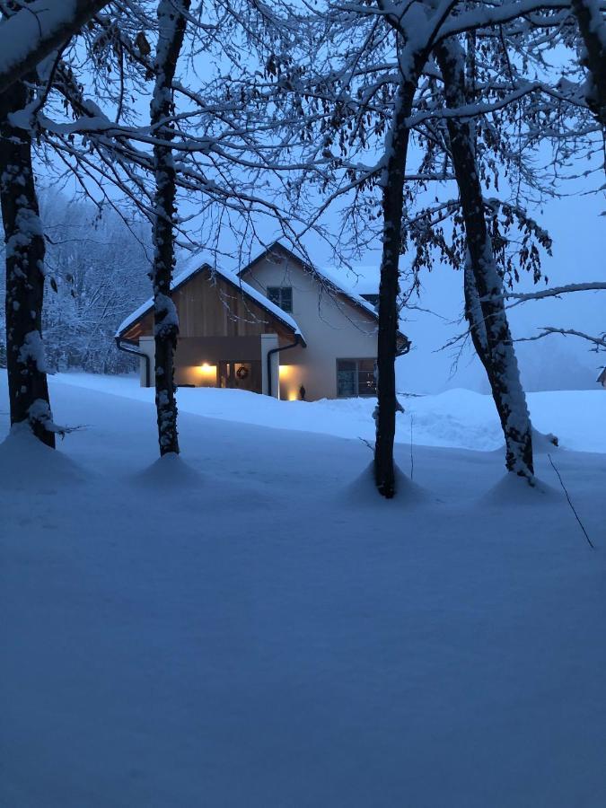 Loft Naturalpina Dolomiti Farm เบลลูโน ภายนอก รูปภาพ