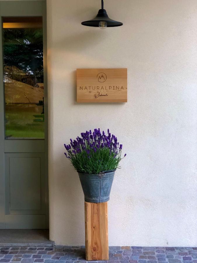 Loft Naturalpina Dolomiti Farm เบลลูโน ภายนอก รูปภาพ