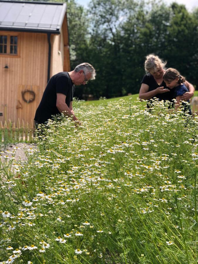 Loft Naturalpina Dolomiti Farm เบลลูโน ภายนอก รูปภาพ