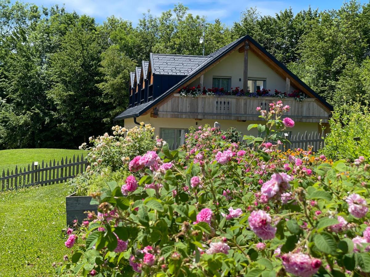Loft Naturalpina Dolomiti Farm เบลลูโน ภายนอก รูปภาพ